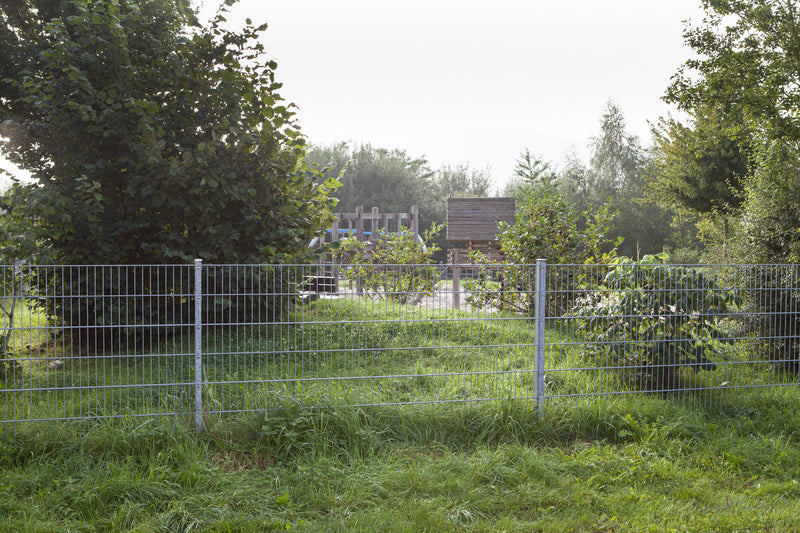 Doppelstabmatte 8/6/8-0,63 Meter-Verzinkt
